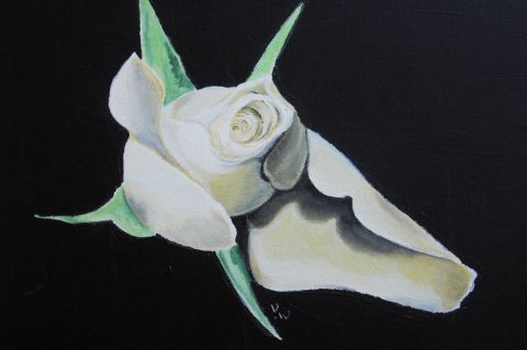 Fleur coquillage